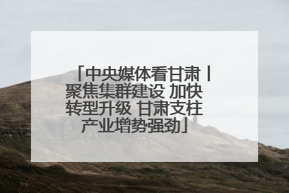 中央媒体看甘肃丨聚焦集群建设 加快转型升级 甘肃支柱产业增势强劲