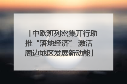 中欧班列密集开行助推“落地经济” 激活周边地区发展新动能