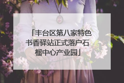 丰台区第八家特色书香驿站正式落户石榴中心产业园