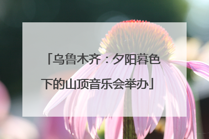 乌鲁木齐：夕阳暮色下的山顶音乐会举办