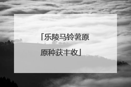 乐陵马铃薯原原种获丰收