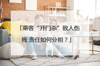 乘客“开门杀”致人伤残 责任如何分担？
