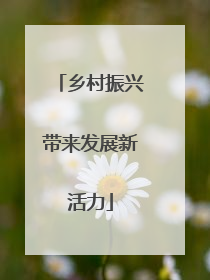乡村振兴带来发展新活力