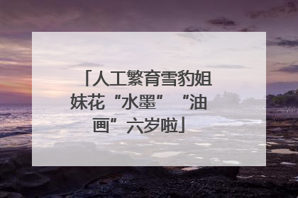 人工繁育雪豹姐妹花“水墨”“油画”六岁啦