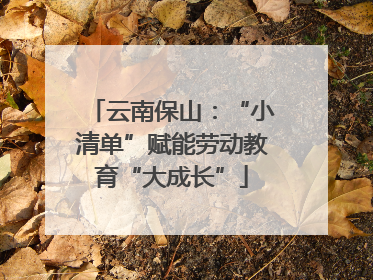 云南保山：“小清单”赋能劳动教育“大成长”