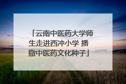 云南中医药大学师生走进西冲小学 播撒中医药文化种子