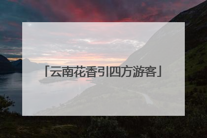 云南花香引四方游客