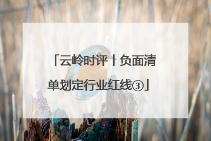 云岭时评丨负面清单划定行业红线③