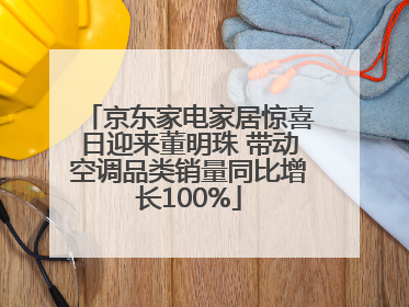 京东家电家居惊喜日迎来董明珠 带动空调品类销量同比增长100%