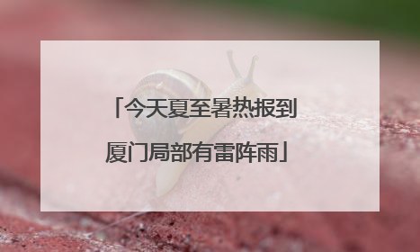 今天夏至暑热报到 厦门局部有雷阵雨