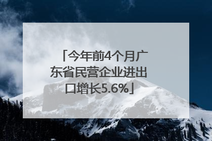 今年前4个月广东省民营企业进出口增长5.6%