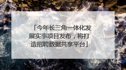 今年长三角一体化发展实事项目发布，将打造招聘数据共享平台