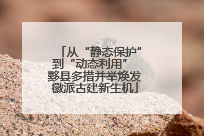 从“静态保护”到“动态利用” 黟县多措并举焕发徽派古建新生机
