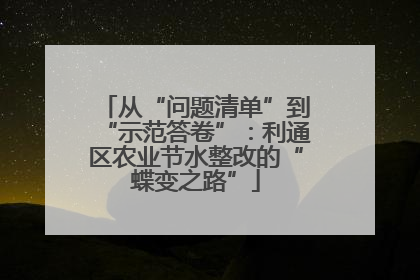 从“问题清单”到“示范答卷”：利通区农业节水整改的“蝶变之路”