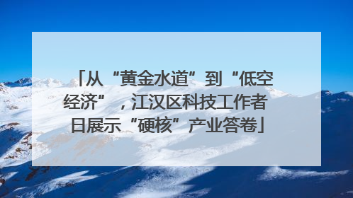 从“黄金水道”到“低空经济”，江汉区科技工作者日展示“硬核”产业答卷