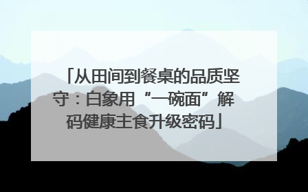 从田间到餐桌的品质坚守：白象用“一碗面”解码健康主食升级密码