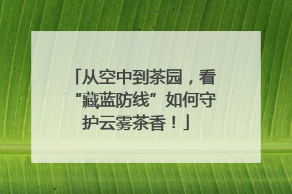 从空中到茶园，看“藏蓝防线”如何守护云雾茶香！