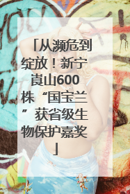 从濒危到绽放！新宁崀山600株“国宝兰”获省级生物保护嘉奖