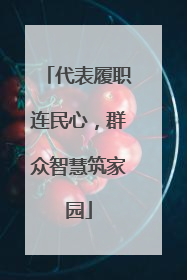 代表履职连民心，群众智慧筑家园