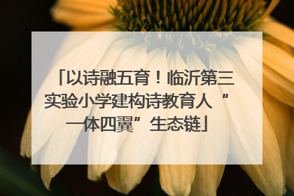 以诗融五育！临沂第三实验小学建构诗教育人“一体四翼”生态链