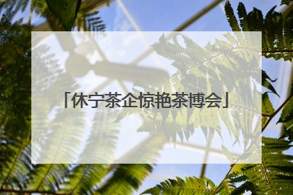 休宁茶企惊艳茶博会