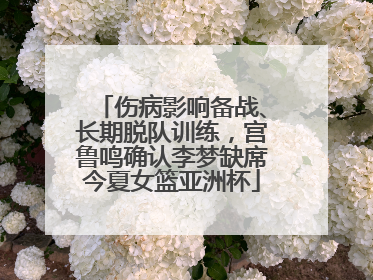 伤病影响备战、长期脱队训练，宫鲁鸣确认李梦缺席今夏女篮亚洲杯