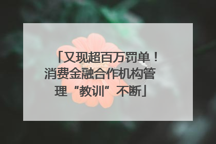 又现超百万罚单！消费金融合作机构管理“教训”不断