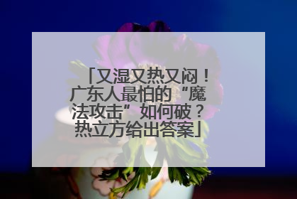又湿又热又闷！广东人最怕的“魔法攻击”如何破？热立方给出答案