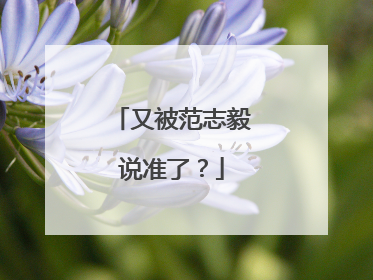 又被范志毅说准了？