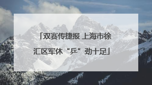双赛传捷报 上海市徐汇区军休“乒”劲十足