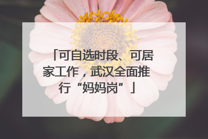 可自选时段、可居家工作，武汉全面推行“妈妈岗”