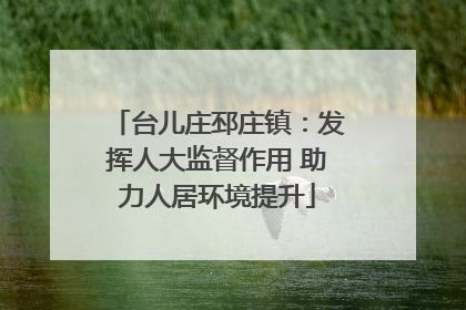 台儿庄邳庄镇：发挥人大监督作用 助力人居环境提升