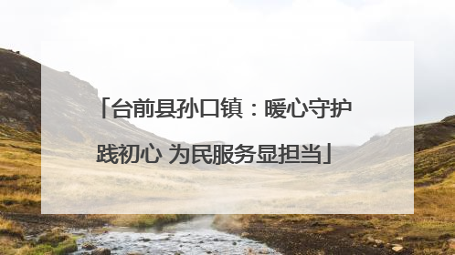 台前县孙口镇：暖心守护践初心 为民服务显担当