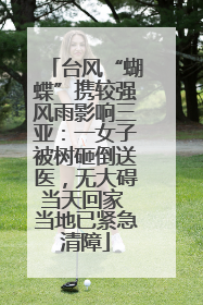 台风“蝴蝶”携较强风雨影响三亚：一女子被树砸倒送医，无大碍当天回家 当地已紧急清障