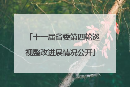 十一届省委第四轮巡视整改进展情况公开