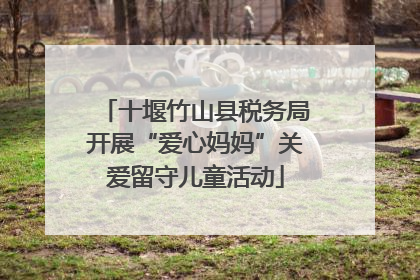 十堰竹山县税务局开展“爱心妈妈”关爱留守儿童活动