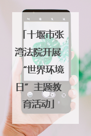 十堰市张湾法院开展“世界环境日”主题教育活动