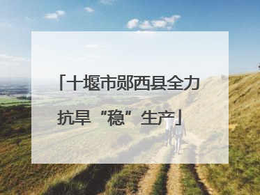 十堰市郧西县全力抗旱“稳”生产