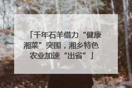 千年石羊借力“健康湘菜”突围，湘乡特色农业加速“出省”