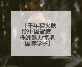 千年窑火映照中国智造 株洲魅力惊艳国际学子