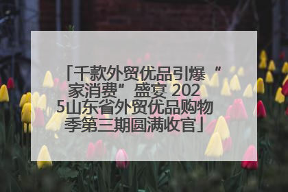 千款外贸优品引爆“家消费”盛宴 2025山东省外贸优品购物季第三期圆满收官
