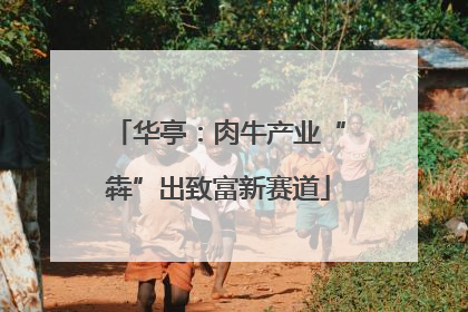 华亭：肉牛产业“犇”出致富新赛道