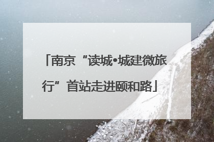 南京“读城•城建微旅行”首站走进颐和路
