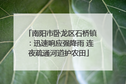南阳市卧龙区石桥镇：迅速响应强降雨 连夜疏通河道护农田