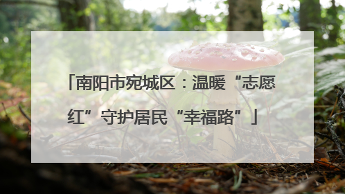 南阳市宛城区：温暖“志愿红”守护居民“幸福路”