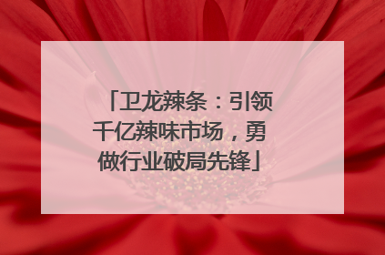 卫龙辣条：引领千亿辣味市场，勇做行业破局先锋