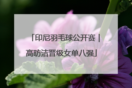 印尼羽毛球公开赛｜高昉洁晋级女单八强