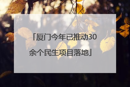 厦门今年已推动30余个民生项目落地