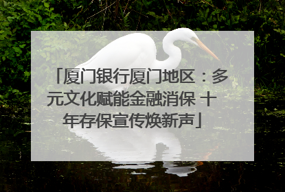 厦门银行厦门地区：多元文化赋能金融消保 十年存保宣传焕新声