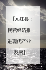 元江县：民营经济推进现代产业发展